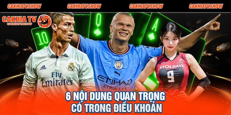 6 nội dung quan trọng có trong điều khoản